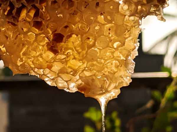 The Natural Benefits of Honey For Your Skin and Hair